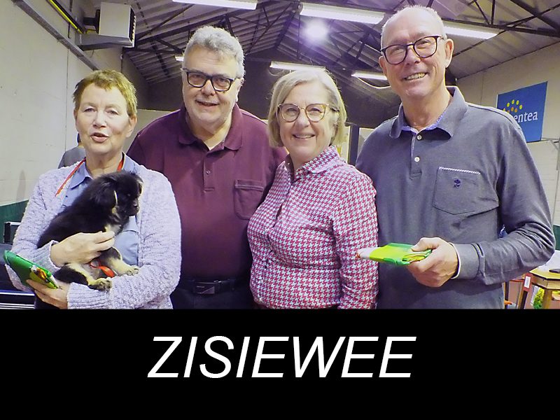 ZISIEWEE